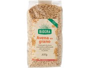 AVENA GRANO ECOLÓGICO 500GR BIOGRA